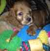 Buddy2.jpg