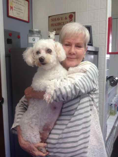 Dolly