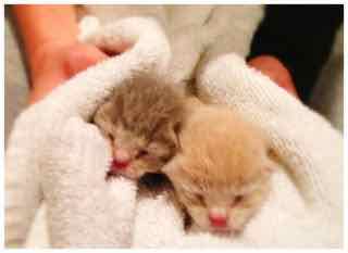 Hilary and Henry