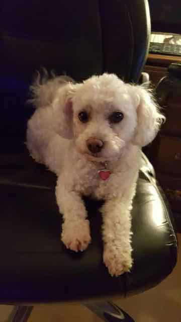 Molly