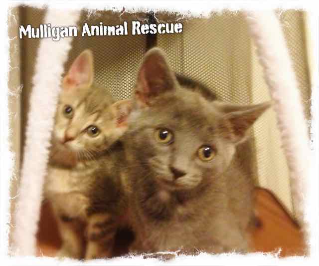 Myla and Mimi