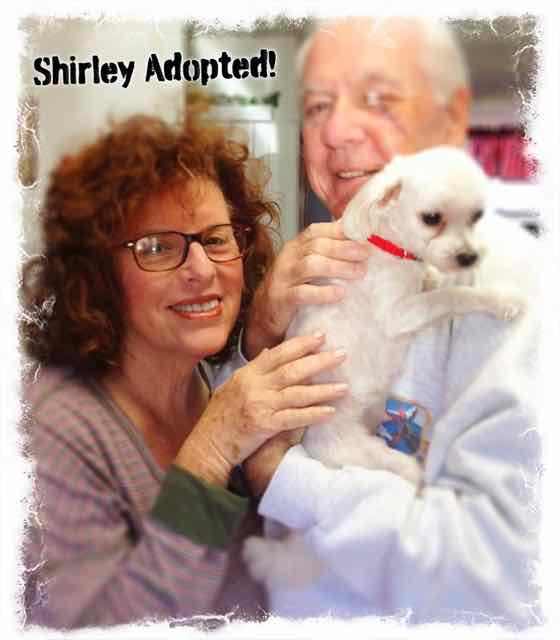 Shirley