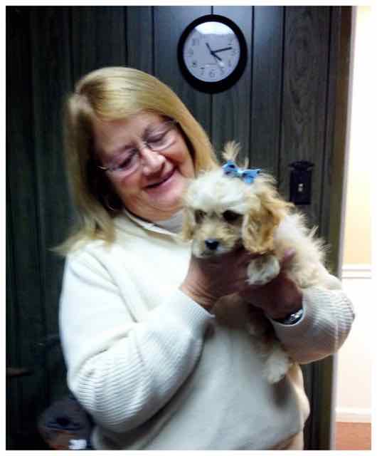 Tillie (now Molly)