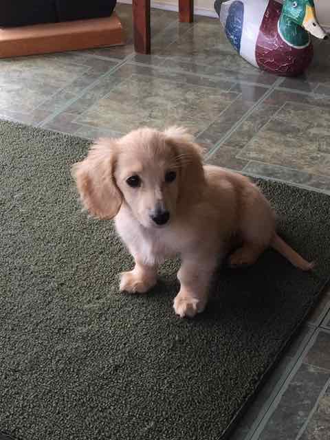 Tilly