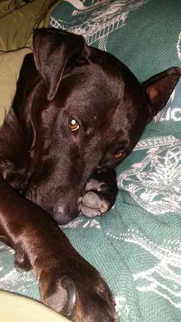 Wally