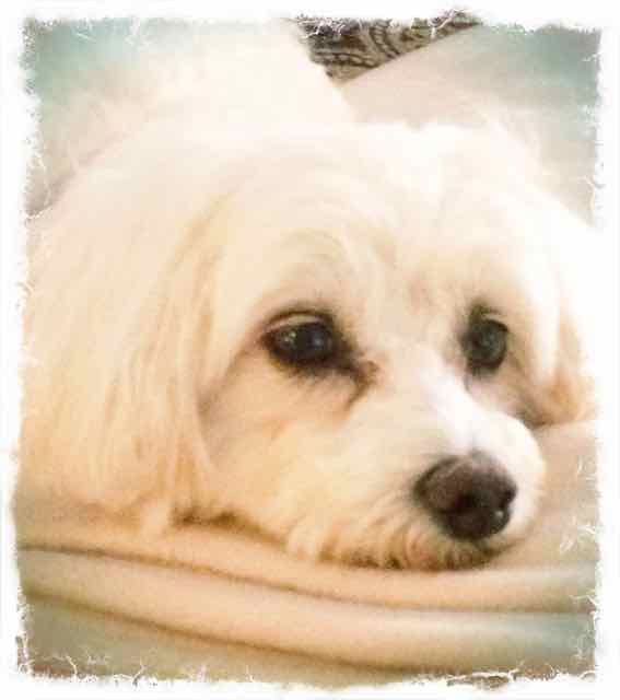 Zoey